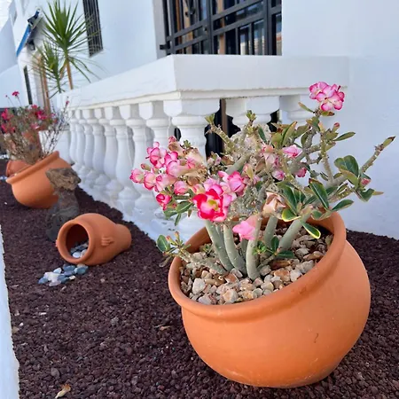 Vlasta Port Royal Cristianos Apartment *